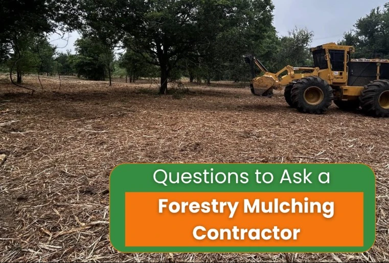 What Key Questions Should You Ask a Forestry Mulching Contractor Before Hiring?