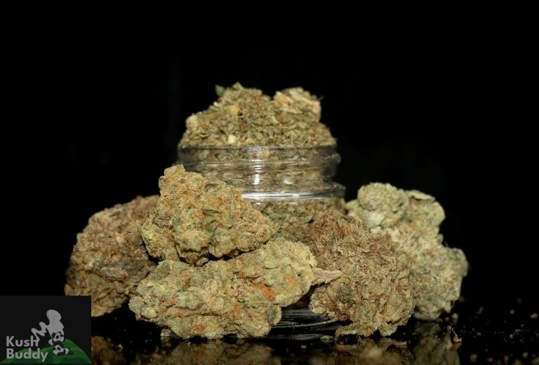 Online Dispensary Canada: Top Picks