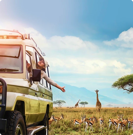 Explore the Wild: Best Tanzania Safari Packages for Every Budget