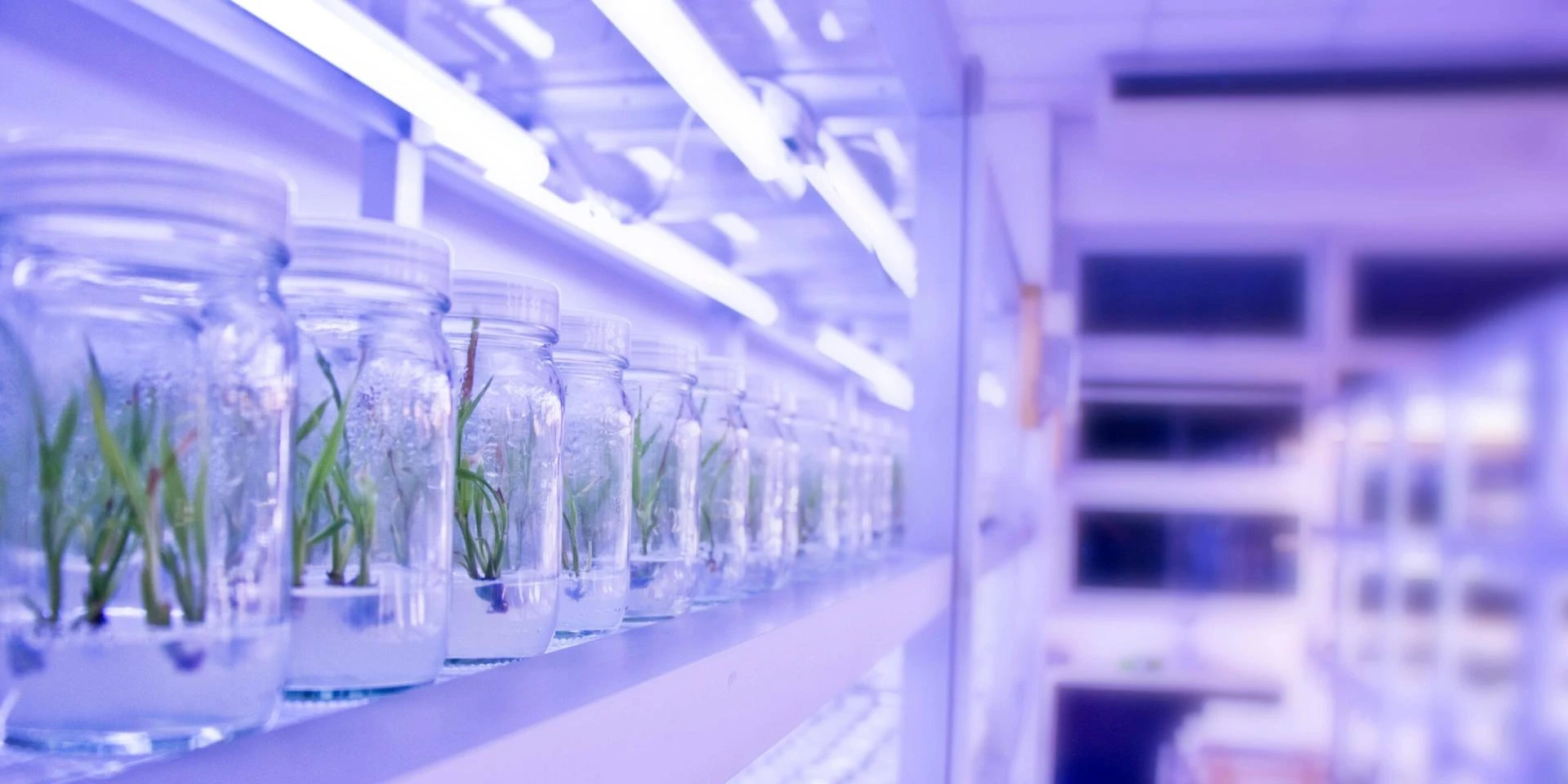 Revolutionizing Indian Farming: The Rise of Smart Cultivation & Biotech Farming in 2025