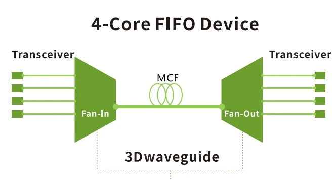 Enhancing Fiber Network Efficiency with 4-Core Fan-in/Fan-out Solutions for Multi-core Fiber