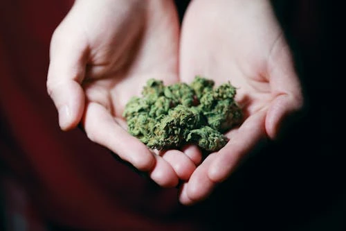 The Hidden Costs of Operating Cash-Only: Why Modern Dispensaries Need Smarter Systems