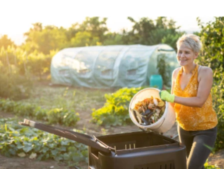 Premium Lawn Care Chichester Services That Deliver Results