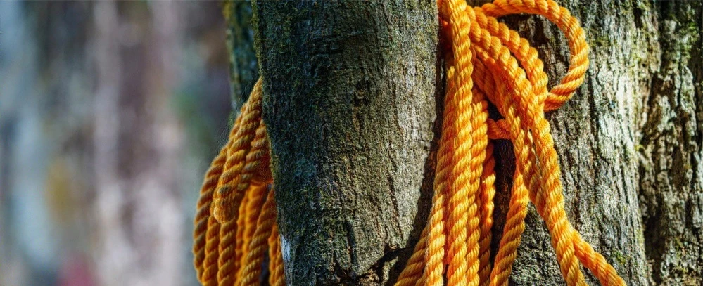 Arborist Rope