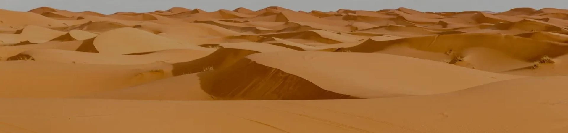 Discover India in Style: India Luxury Tours & Luxury Rajasthan Desert Tour