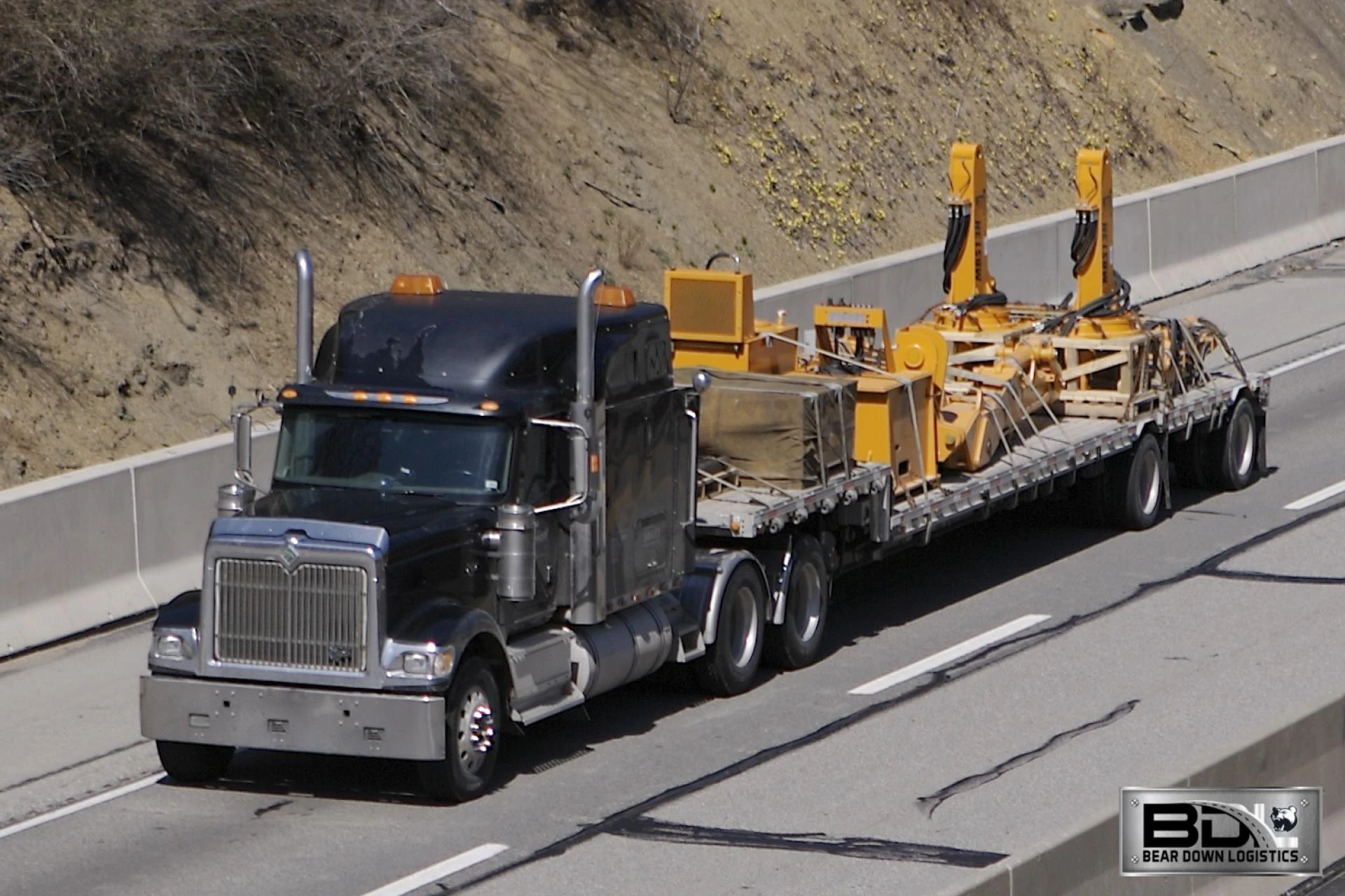 Can Bear Down Logistics Handle Urgent Shipping Needs