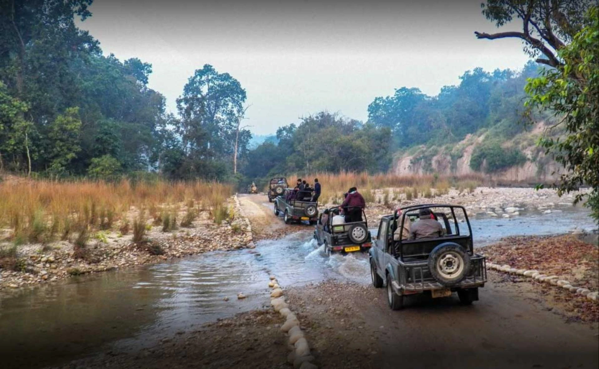 Best Wildlife Safari Parks in India