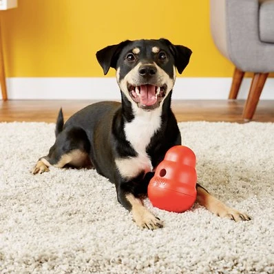  Discover the Joy of the KONG Wobbler: A Fun Toy for Every Dog