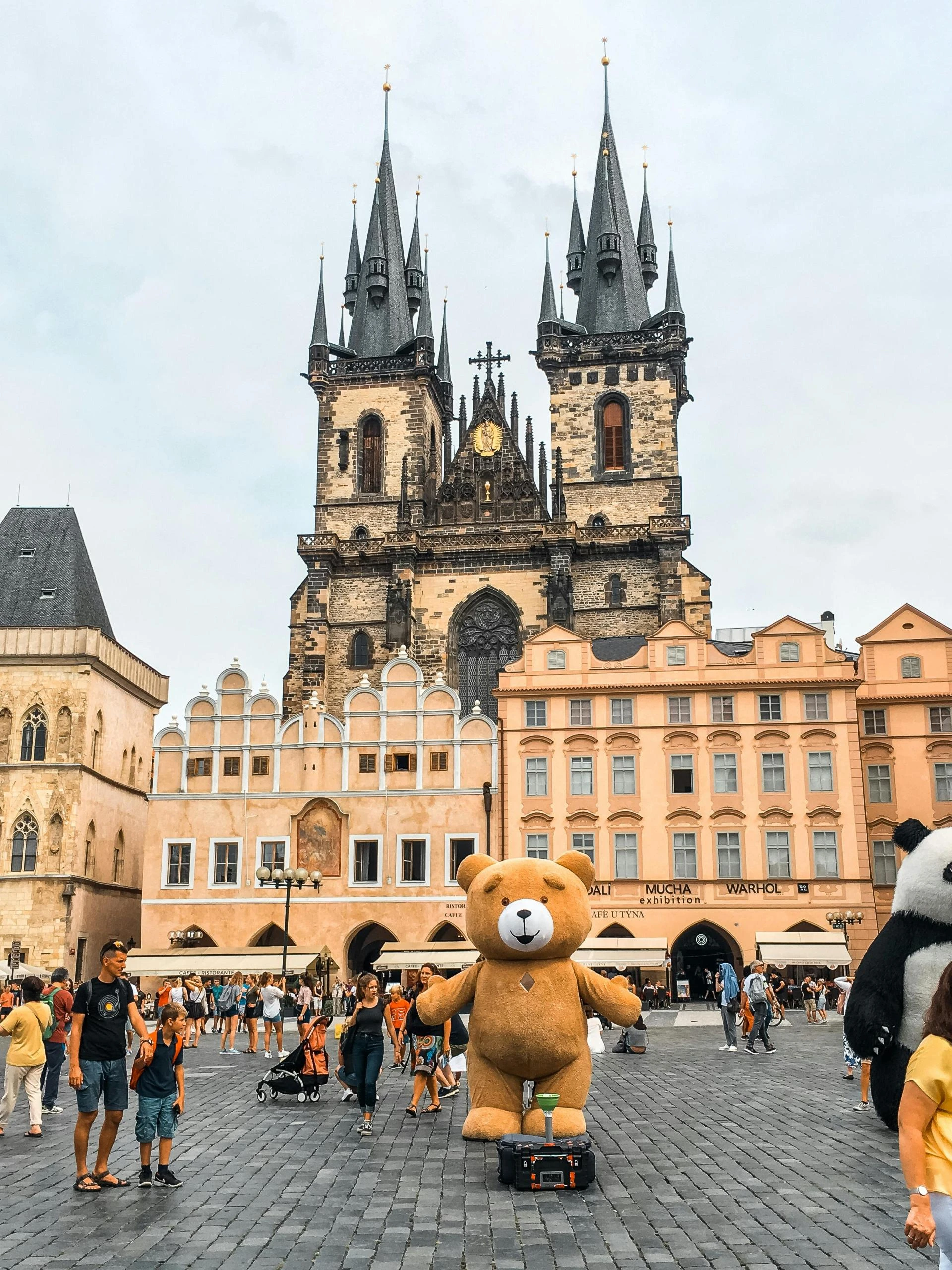 Common Mistakes to Avoid When Applying for a Czech Student Visa