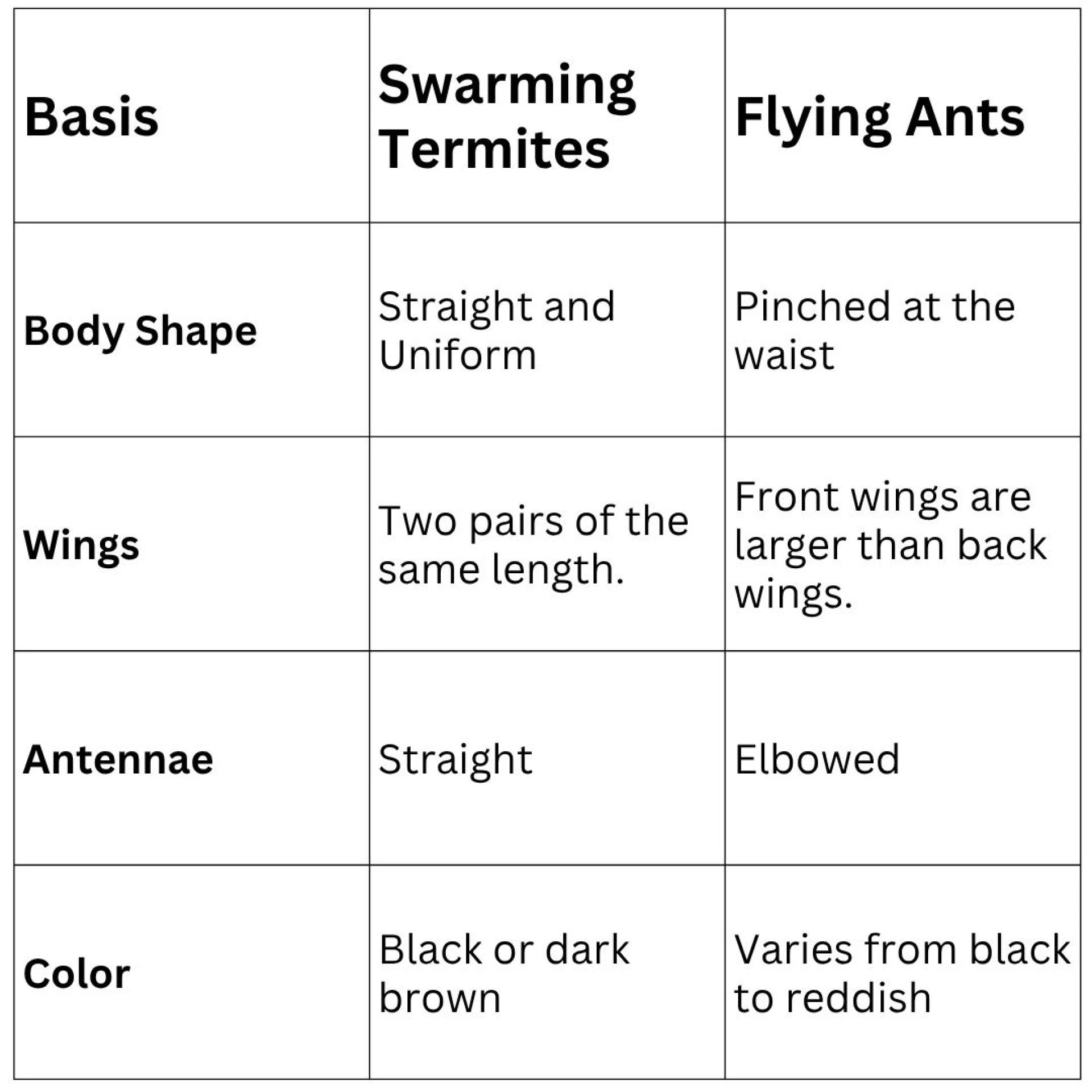 Do Termites Fly? What Swarming Termites Look Like and How to Eliminate Them
