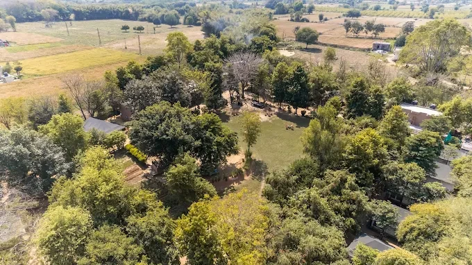 Best Resorts in Ranthambore for Every Traveler