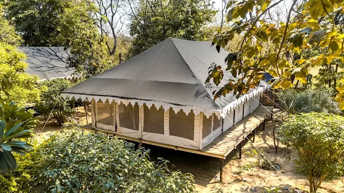 Best Resorts in Ranthambore for Every Traveler