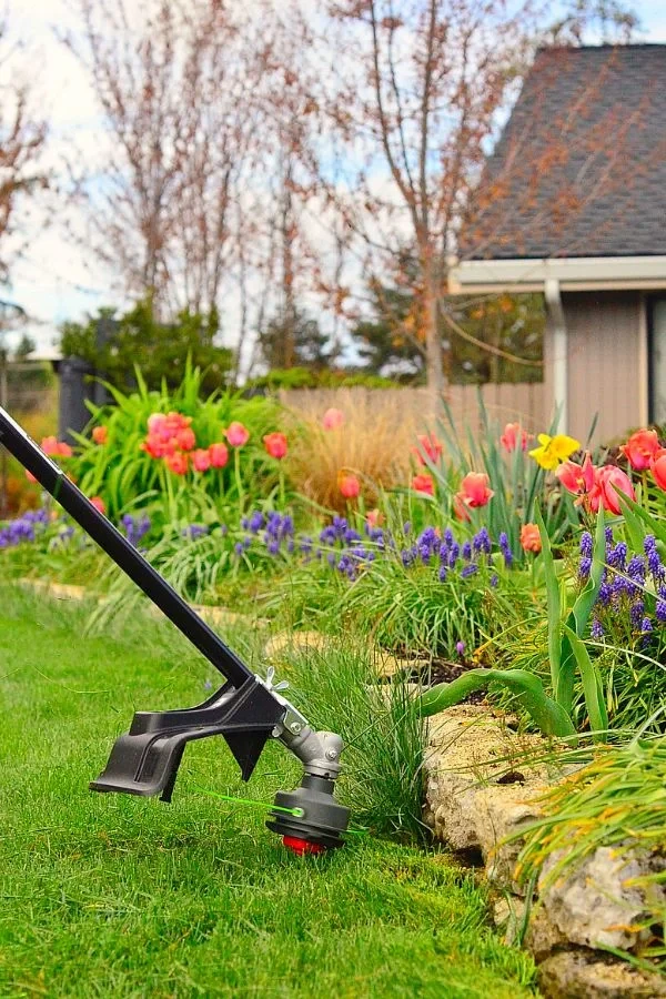 Garden Maintenance Near Me: How to Choose the Right Service for Your Home