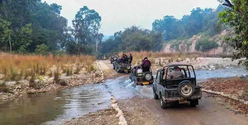 Top 10 Places for Wildlife Safaris in India