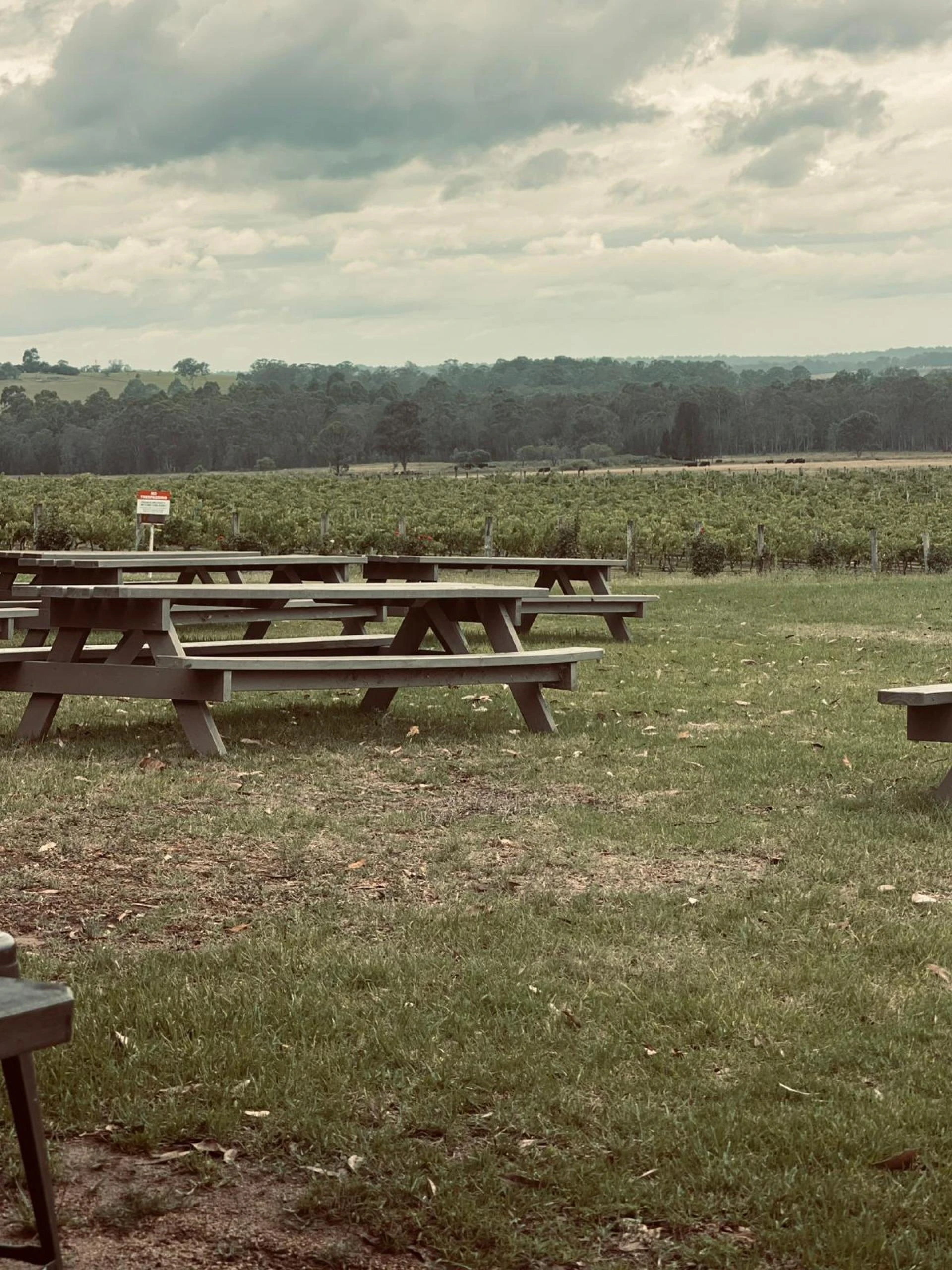 A Tailored Journey Through Hunter Valley’s Finest Wines