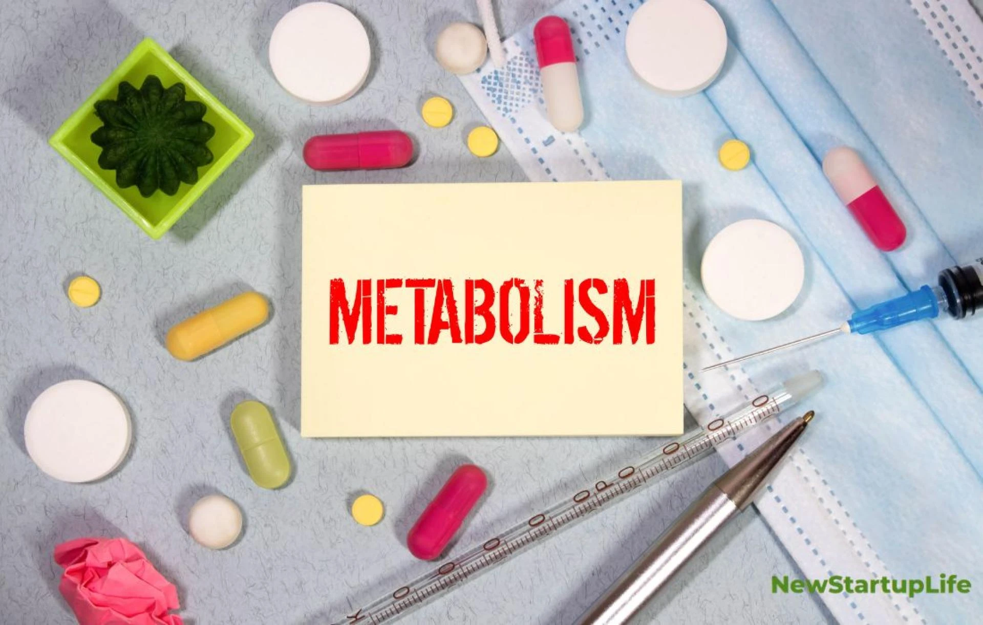 Reset Metabolism Naturally – Easy habits that really work