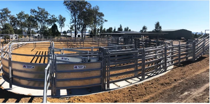 Which Calf Handling Equipment Features Are Essential?