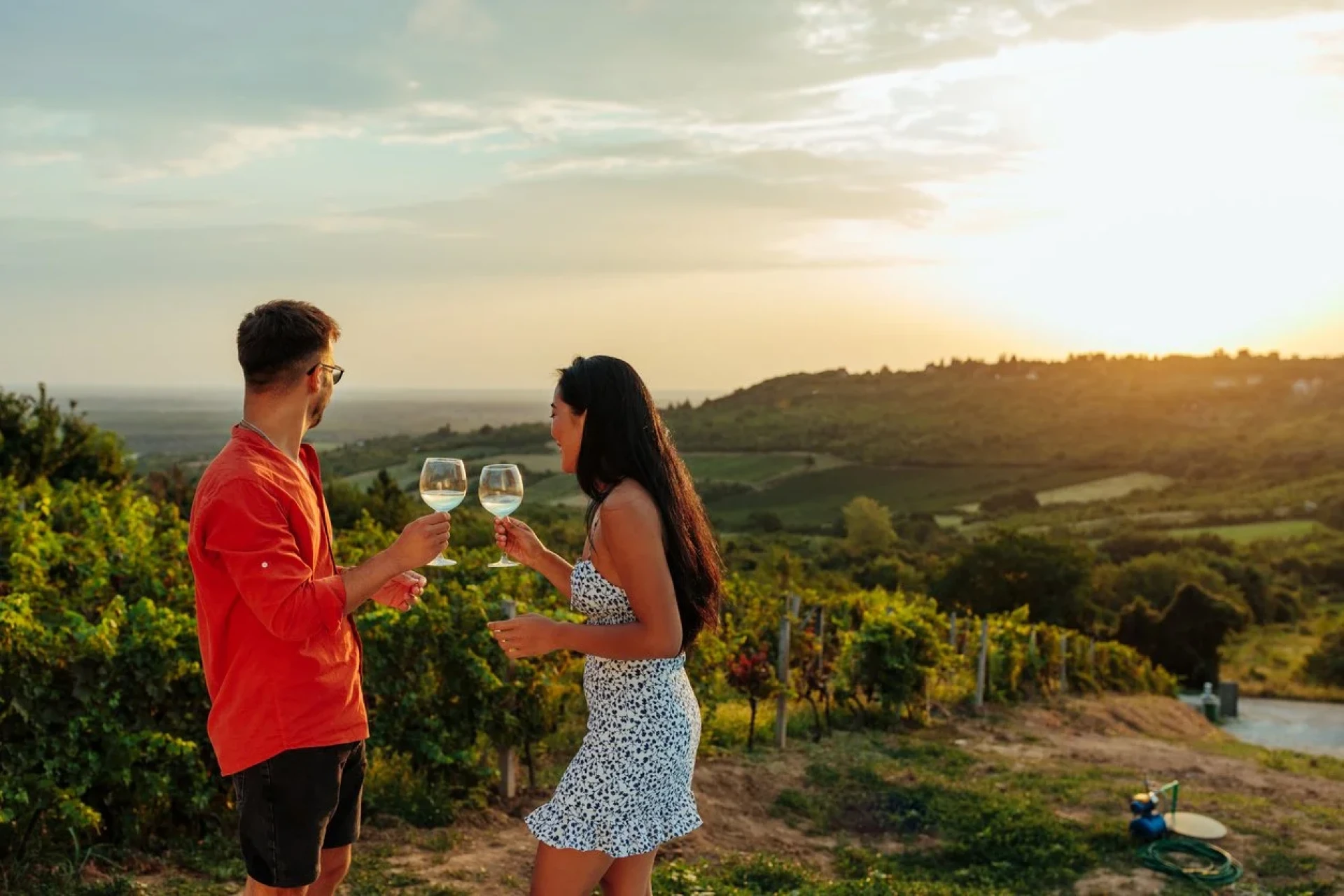 Tips for Touring South Australia's Wine Regions: A Simple Guide