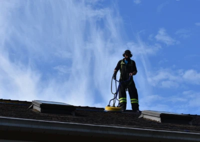Why Roof Cleaning Matters: Expert Tips from AdelCo Home Services