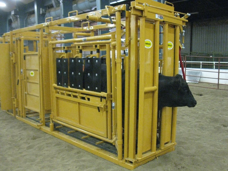 Cattle Squeeze Market Long-Term Outlook Driven by Technology, Sustainability, and Welfare Standard