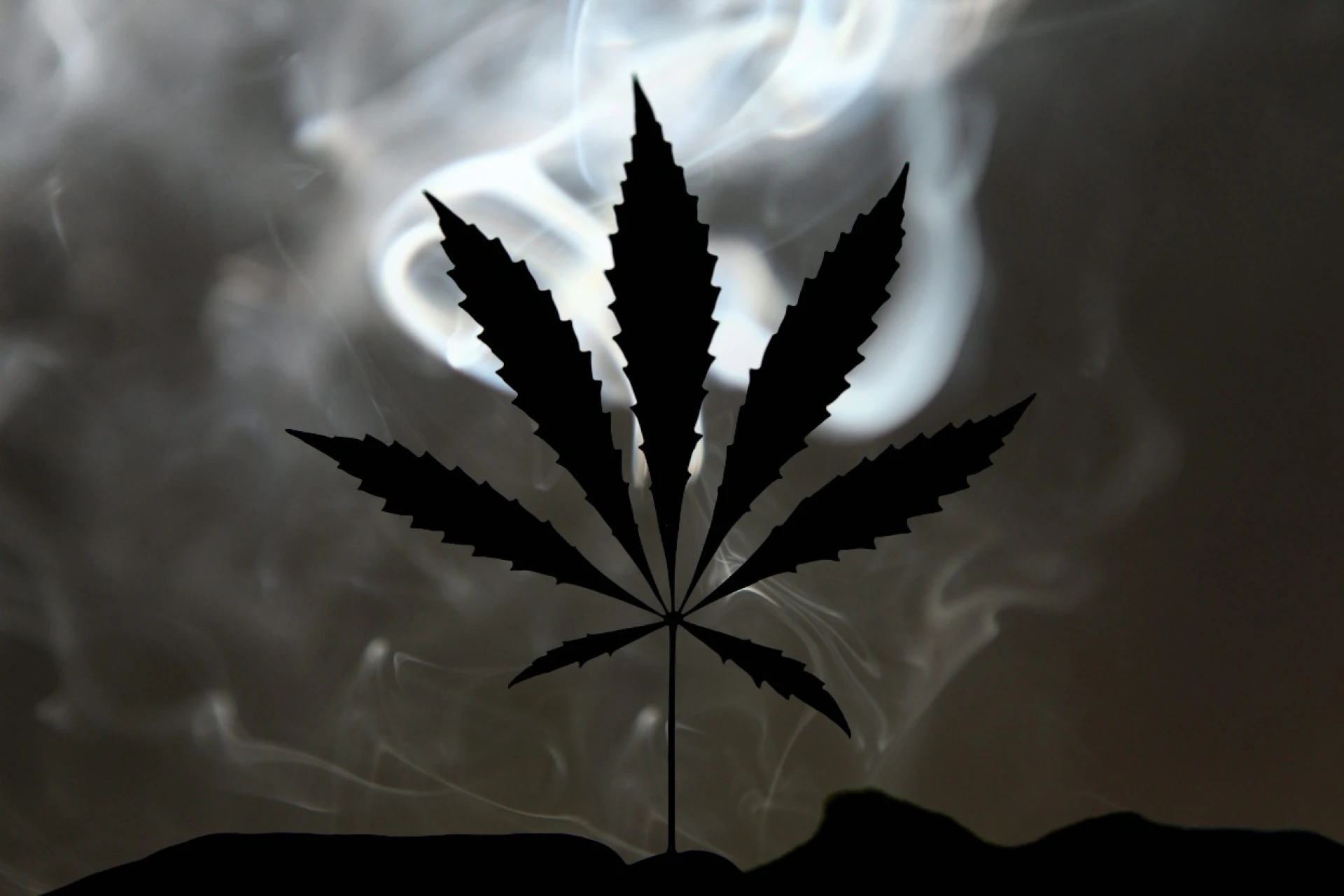 Fast, Clean, Compliant: What Modern Cannabis Checkout Should Look Like in 2025Title