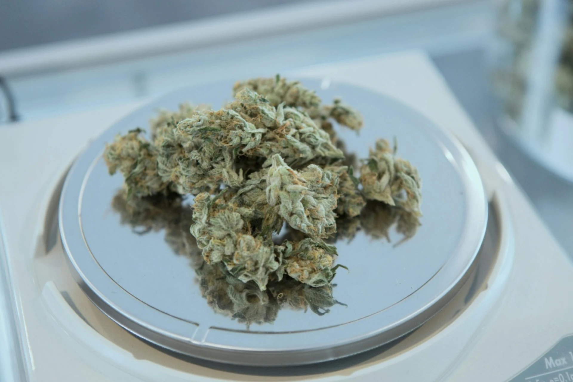 Fast, Clean, Compliant: What Modern Cannabis Checkout Should Look Like in 2025Title