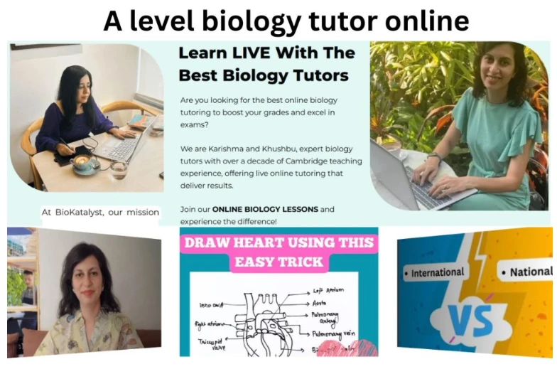 My PostLearn Biology with Confidence | GCSE Biology Online & A Level Biology Tuition 
