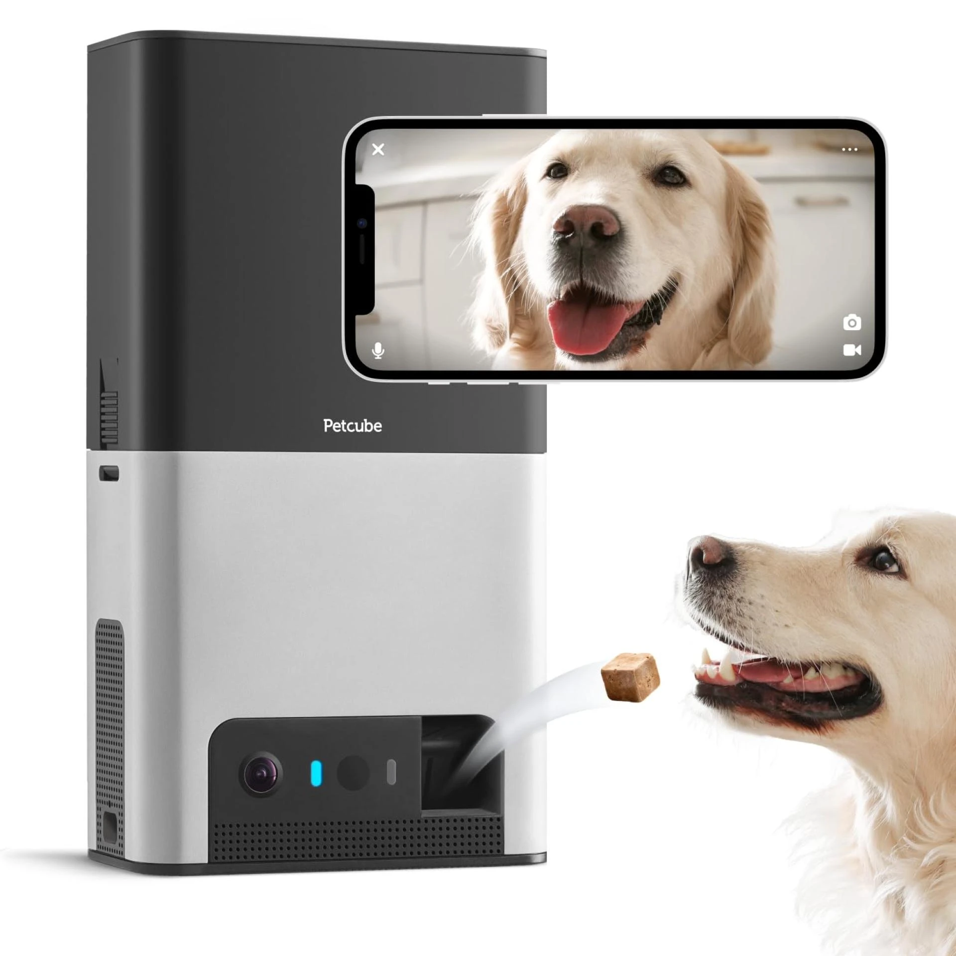 Petcube Bites 2: The Smart Way to Stay Connected with Pets