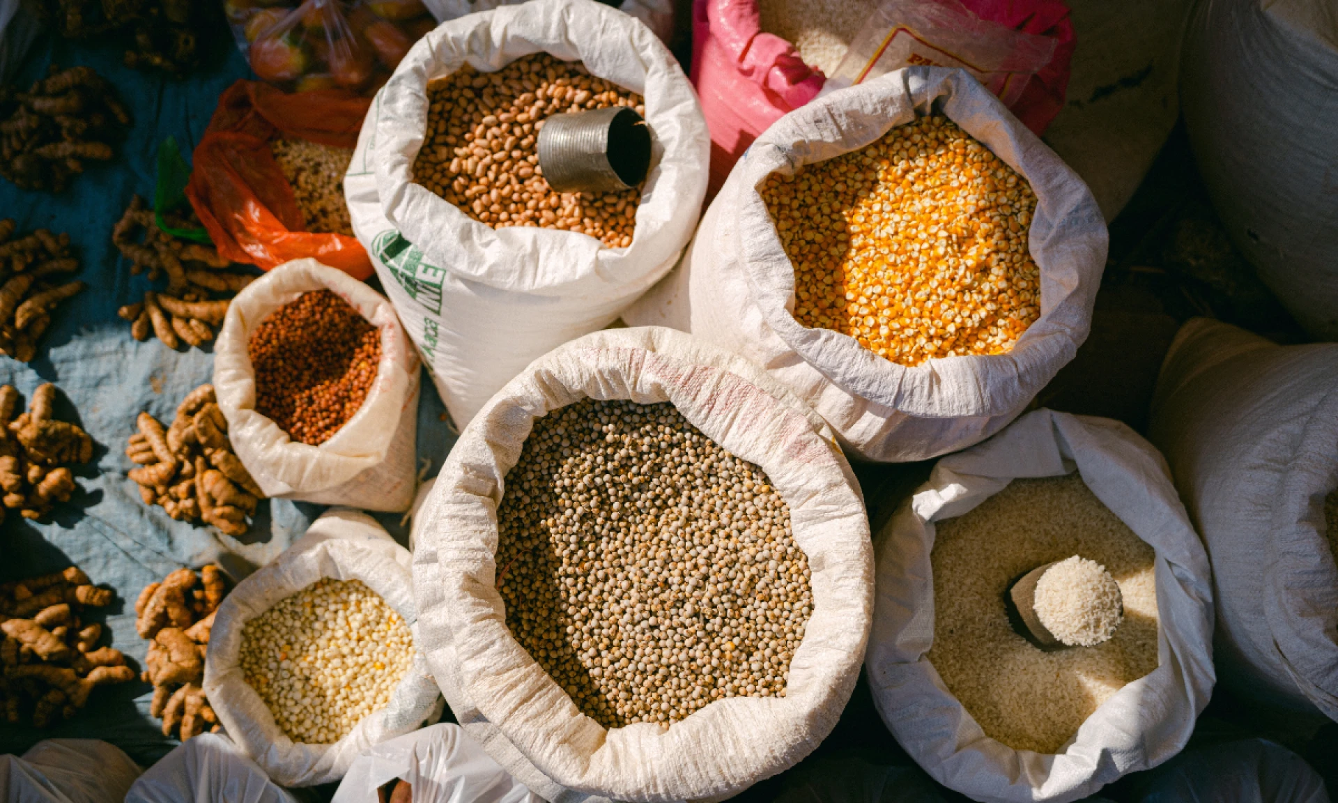 Buy Kefir Grains Online for Fresh Homemade Ferments