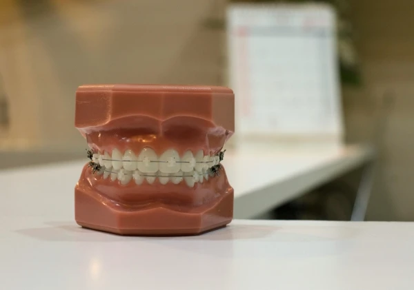How Can an Orthodontist Course Help You
