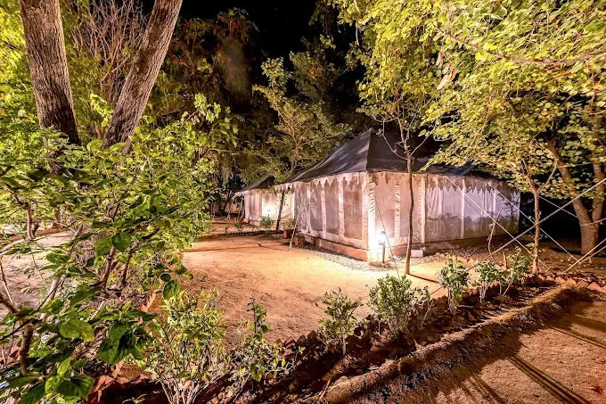 Ranthambore Camping - A Perfect Blend of Adventure and Comfort