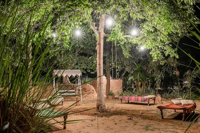 Ranthambore Camping - A Perfect Blend of Adventure and Comfort
