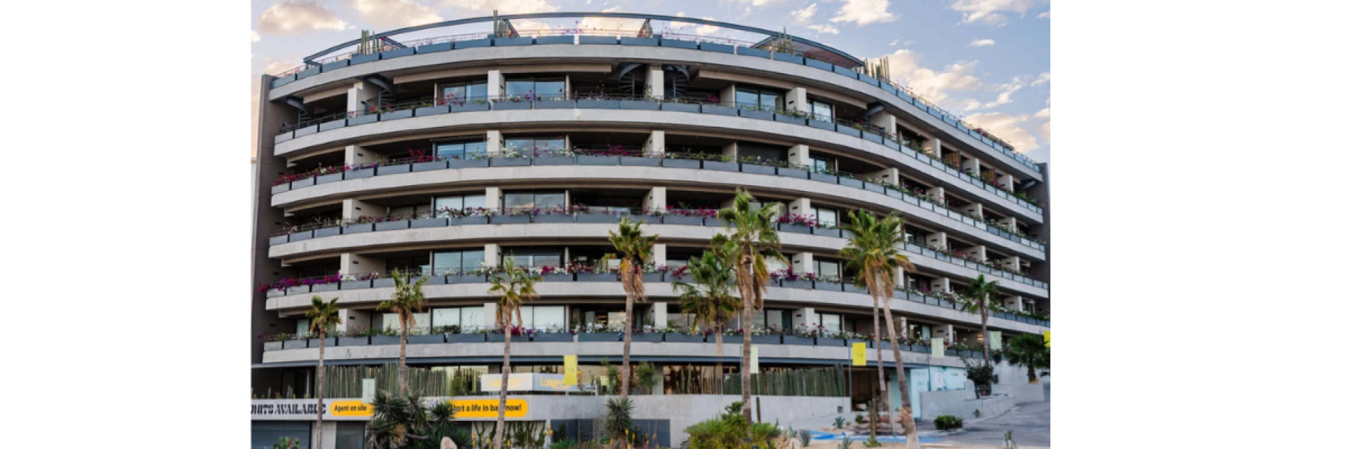 Introduction to Regenerative Medicine in Cabo San Lucas