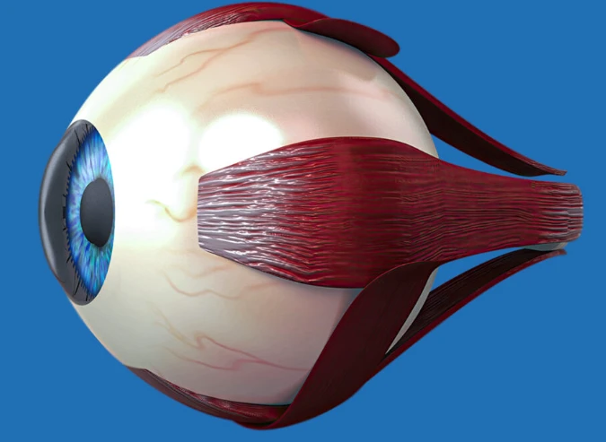 Eye Specialist in Delhi NCR: Finding the Right Expert for Your Vision Needs