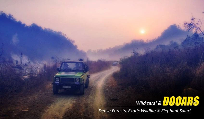 Dooars Tour Package Offering Wildlife Safari Adventures