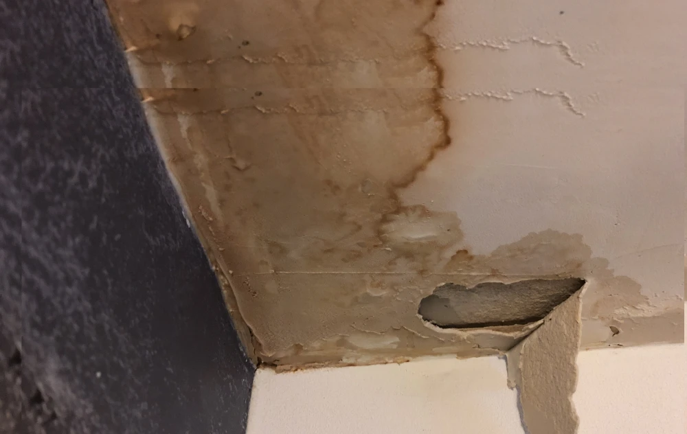 What Do Homeowners Need to Do Before Roof Replacement?