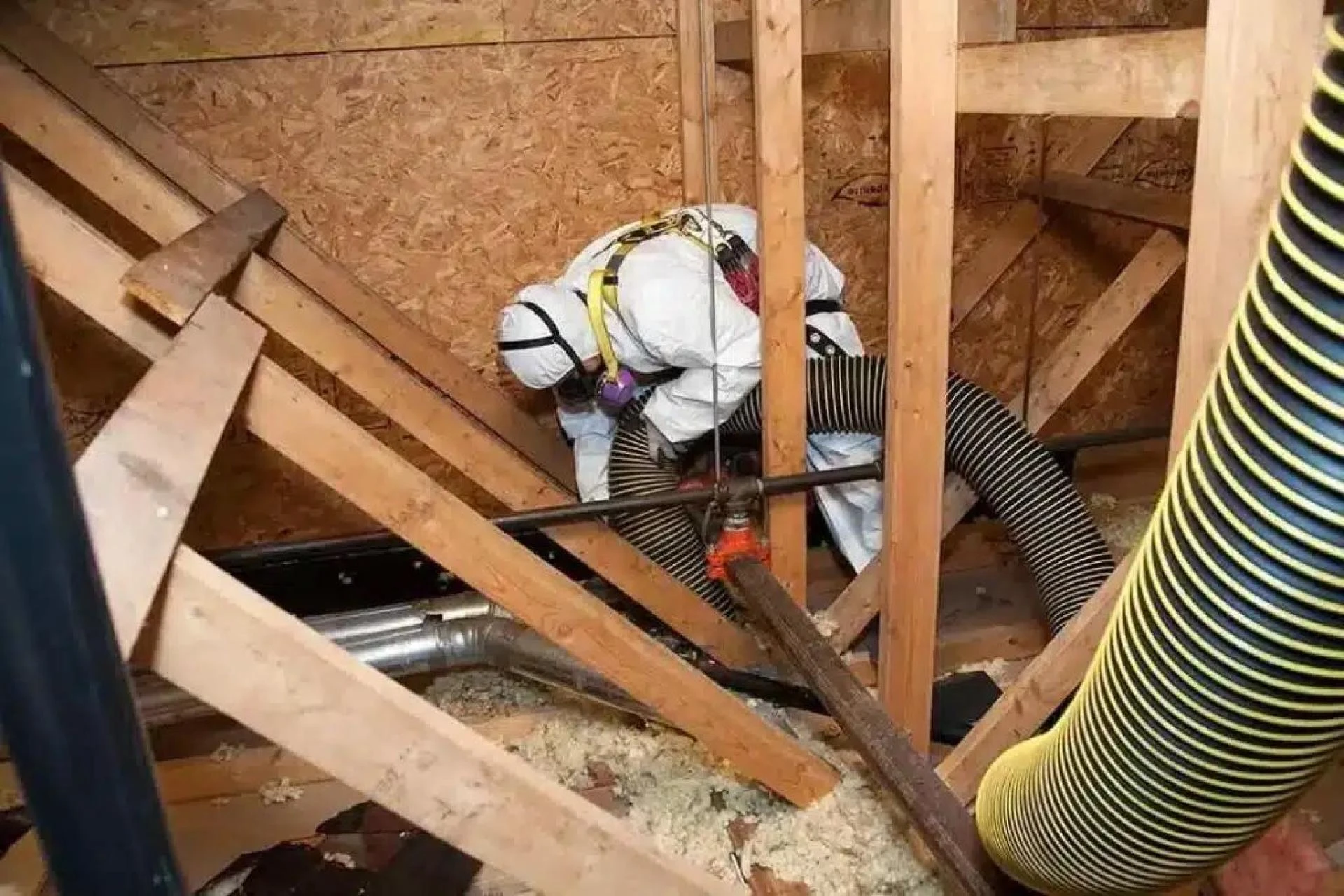 The Case for Removing Insulation Before Any Major Renovation