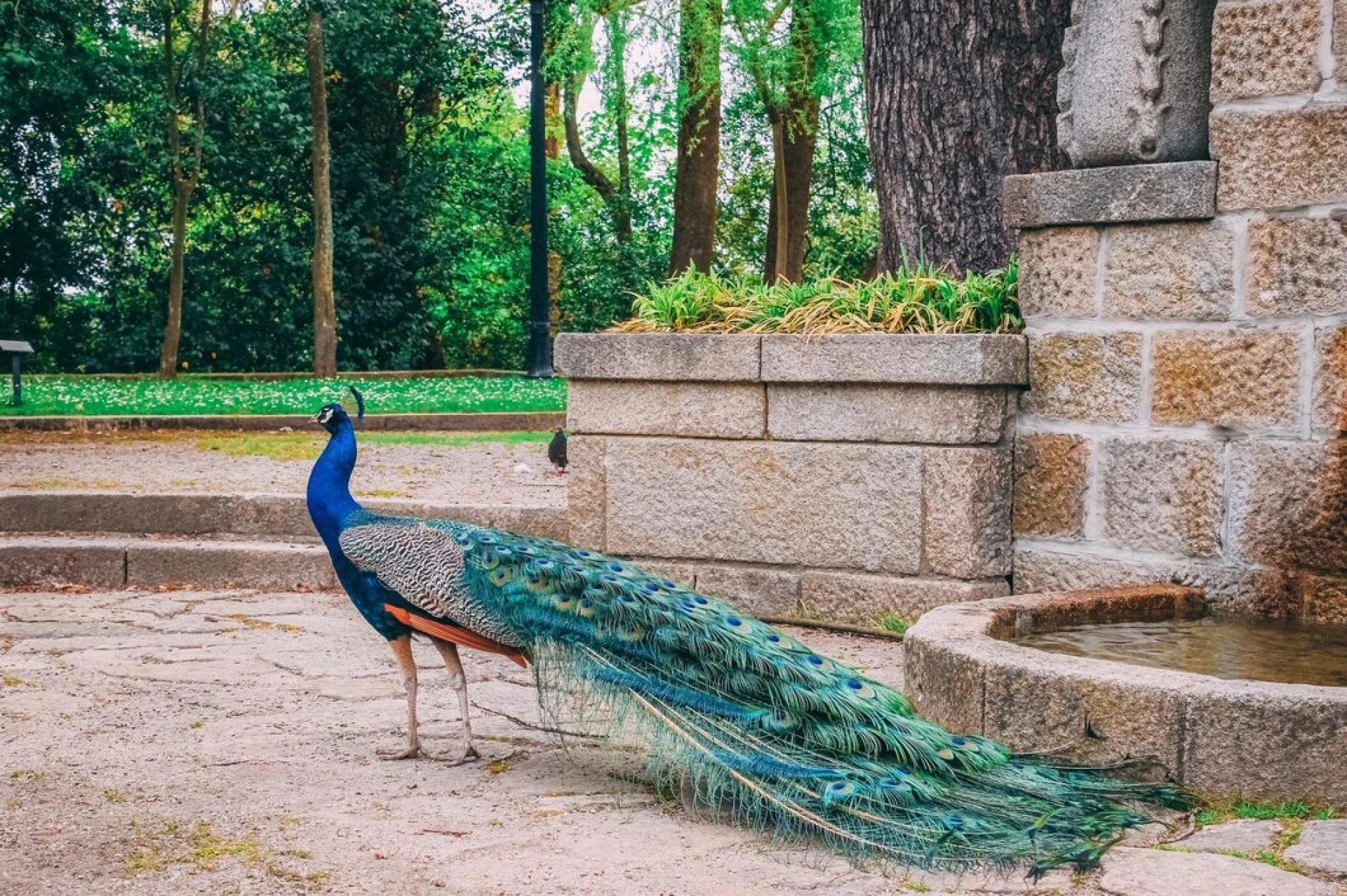 5 Magical Gardens of Delhi- Perfect Place for Family Fun