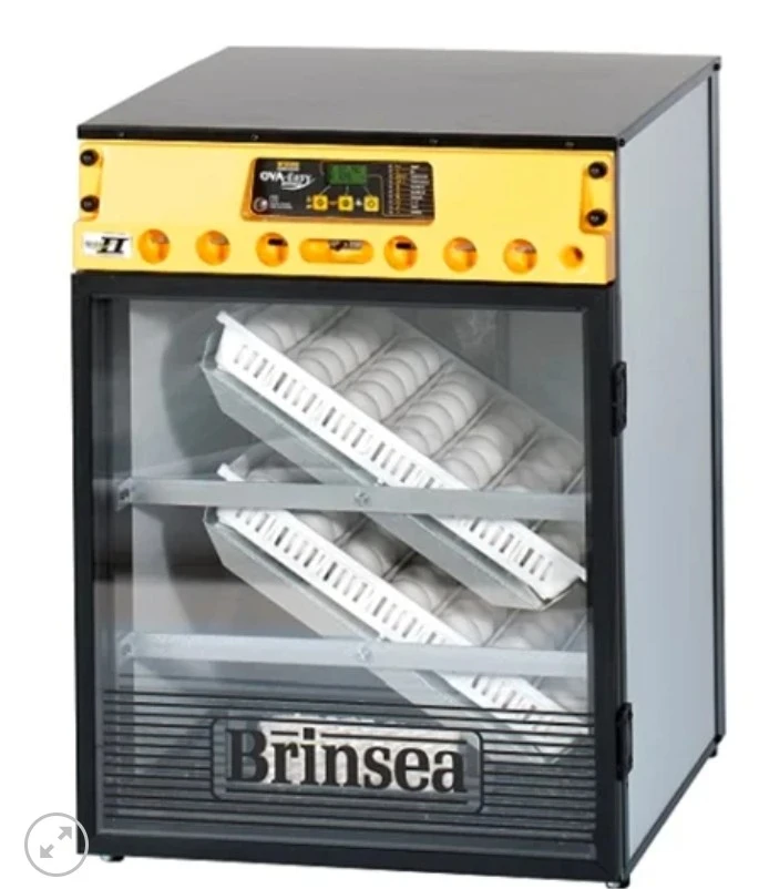 Cabinet Incubator: Perfect Environment for Your Eggs