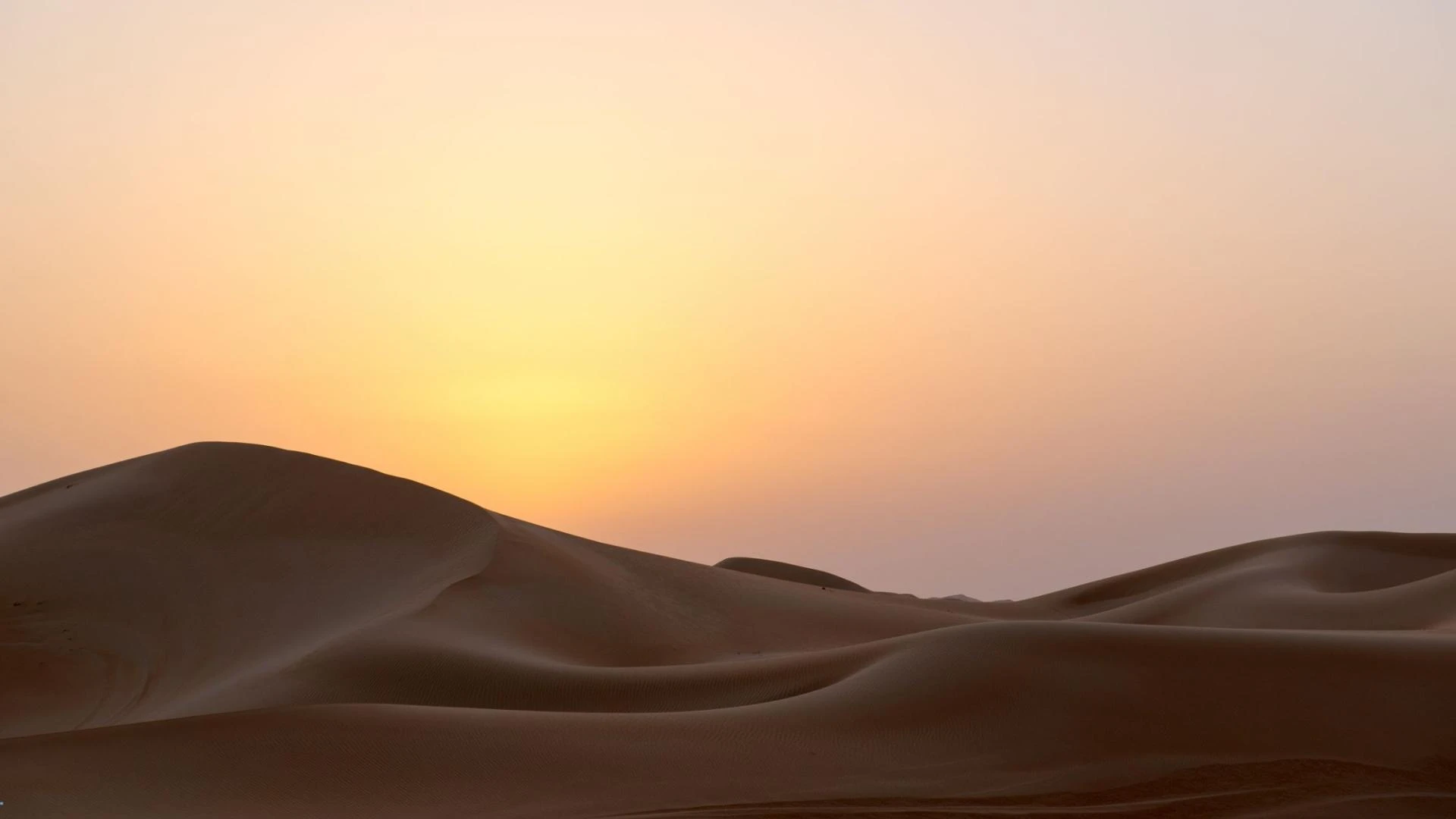Top 10 Things to Expect on Your Abu Dhabi Desert Safari