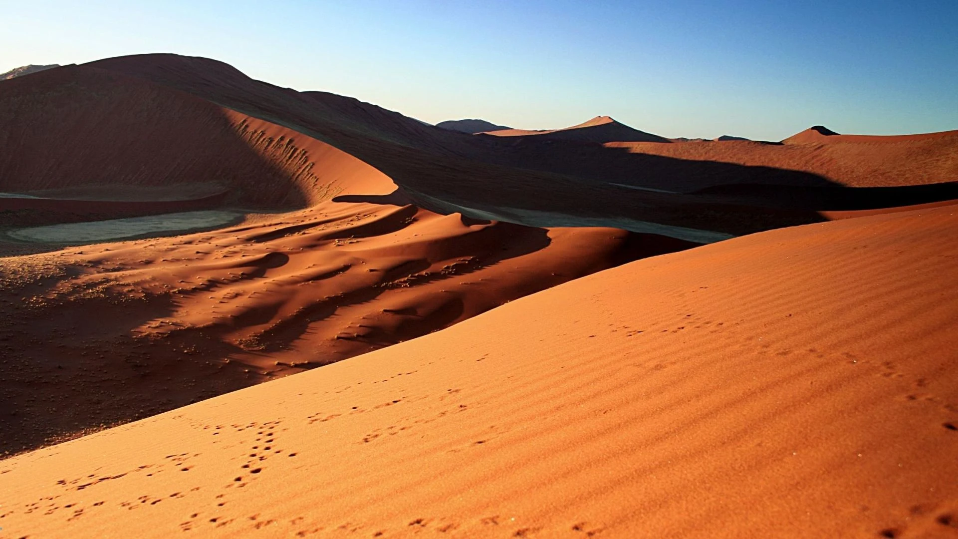 Top 10 Things to Expect on Your Abu Dhabi Desert Safari