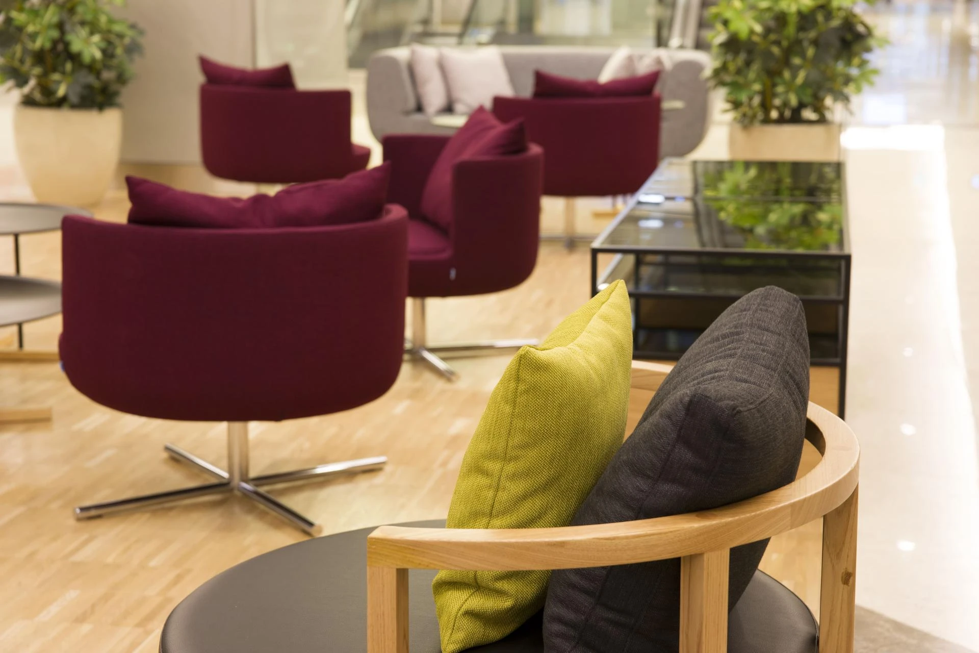 Choosing Consciously:Sustainable Furniture Companies and Eco-Friendly Chairs