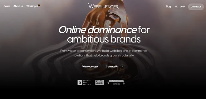 Best Web Design Companies in The Netherlands You Can Hire in 2025