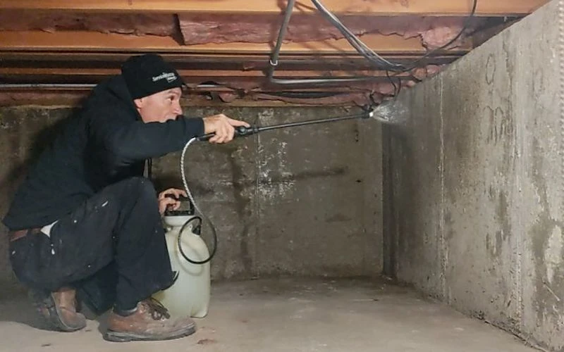 6 Steps in a Professional Crawl Space Mold Remediation Process
