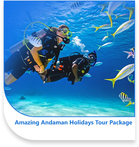 Complete Guide to Andaman Tour Packages – Places,Activities & Prices