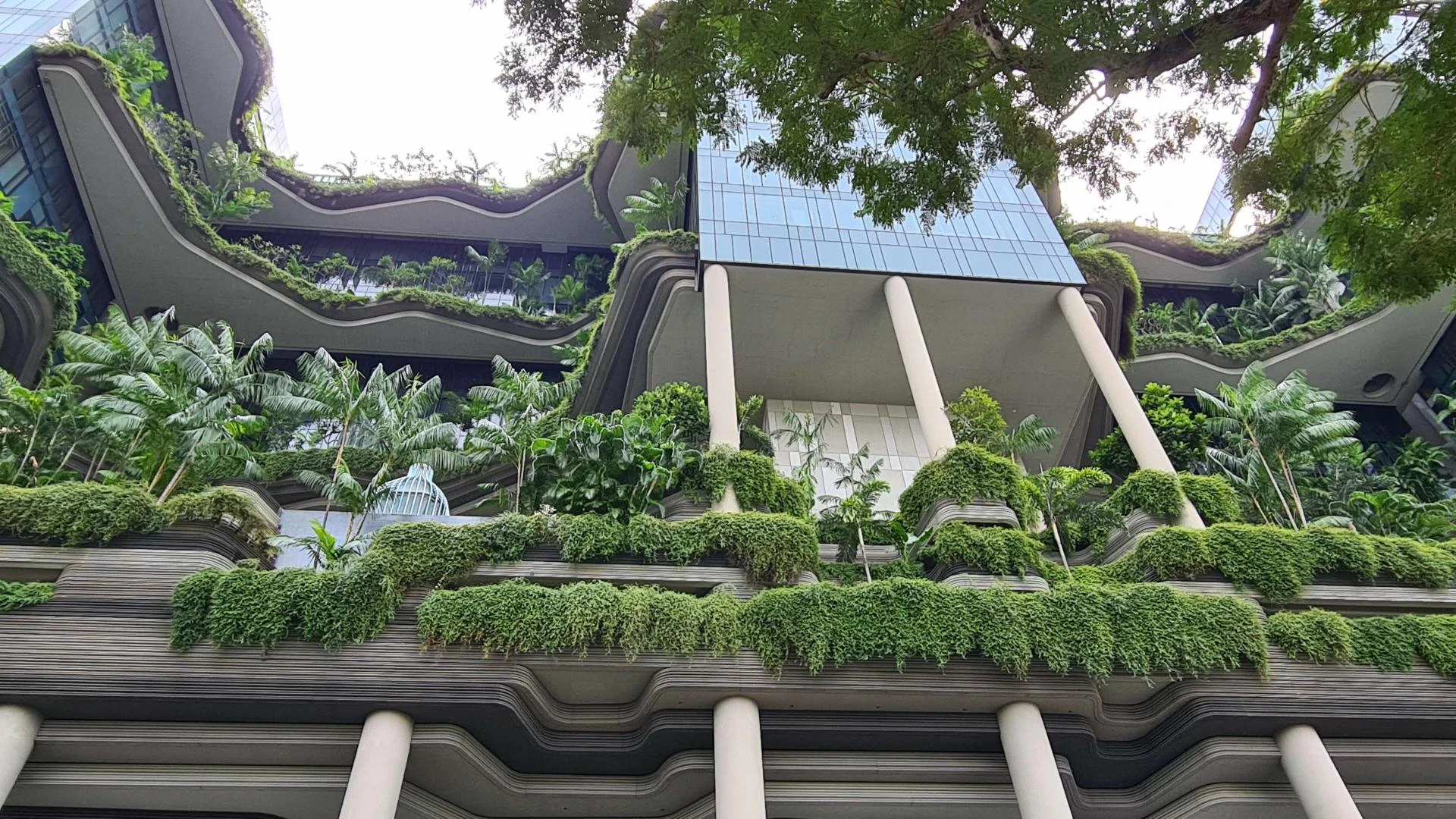 Breathing Walls, Flourishing Roofs: The Transformative Power of Vertical Gardens in Urban Spaces