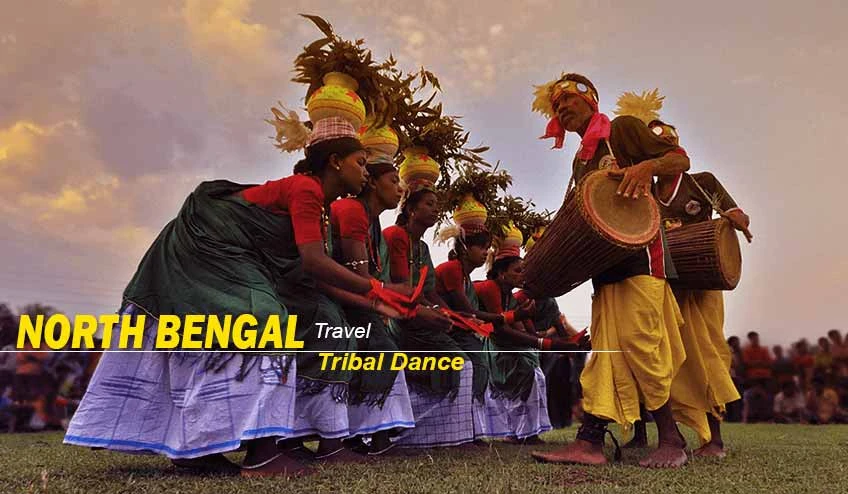 North Bengal Tour Package with Dooars Wildlife Safari Experience