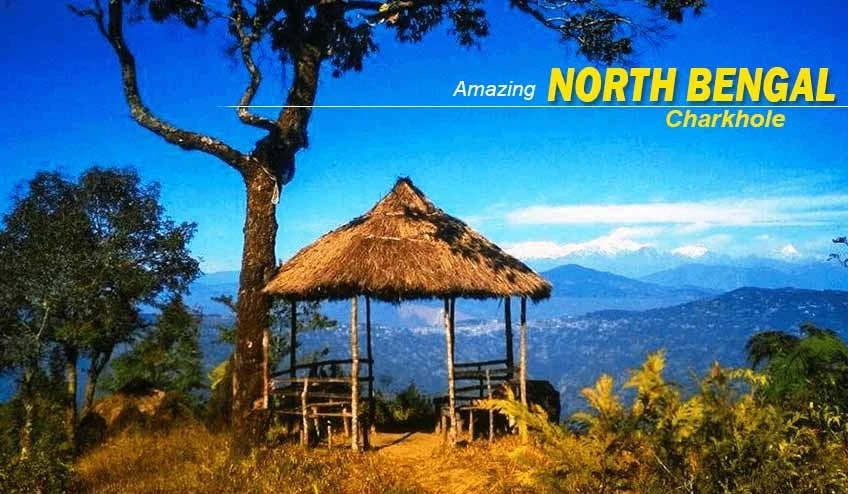 North Bengal Tour Package with Dooars Wildlife Safari Experience