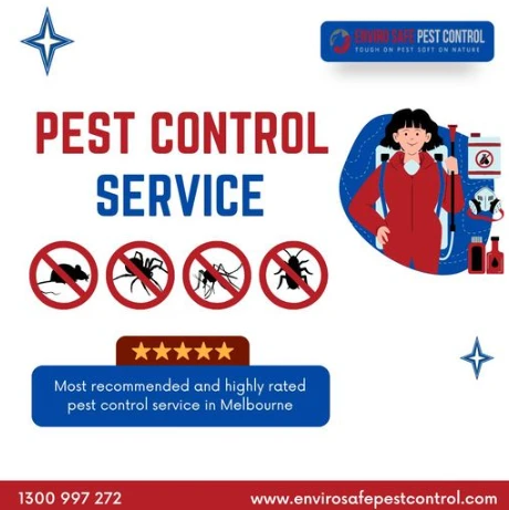 Safe and Reliable Pest Control Melbourne: Expert Possum, Rodent, and Wasp Removal Services