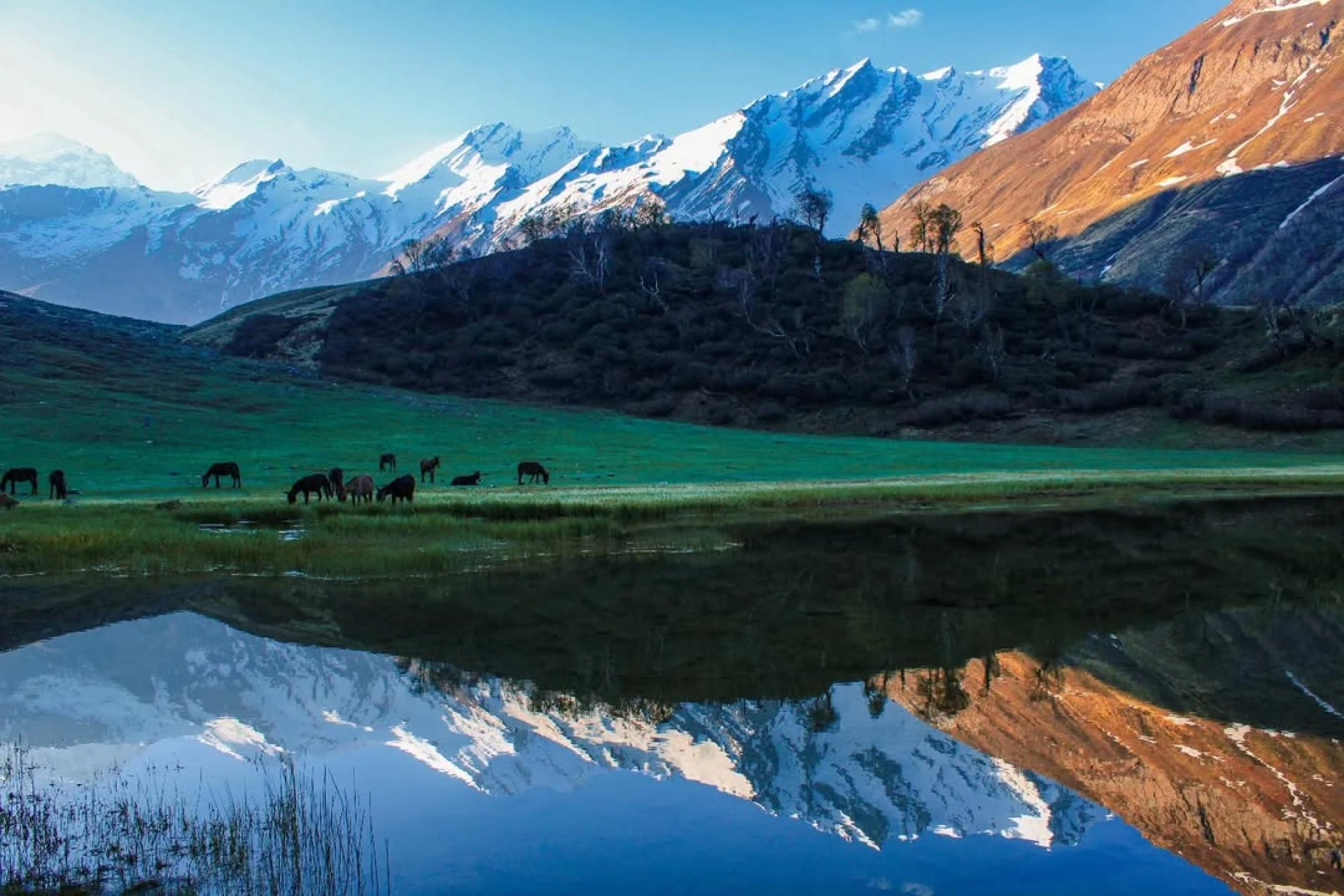 Best Time to Visit Ruinsara Lake: Seasons in the Himalayas